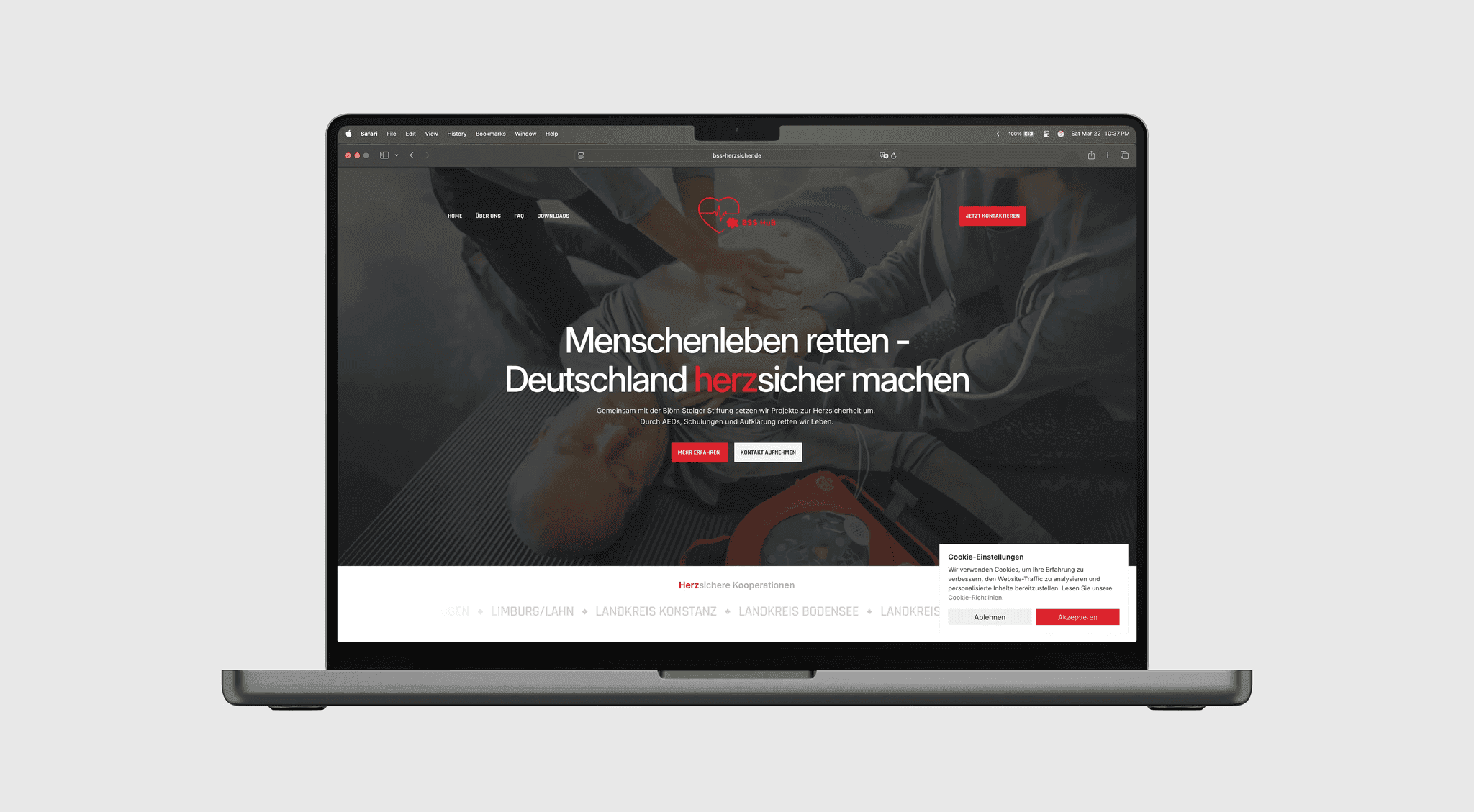 BSS HUB, web, branding  ·  2025