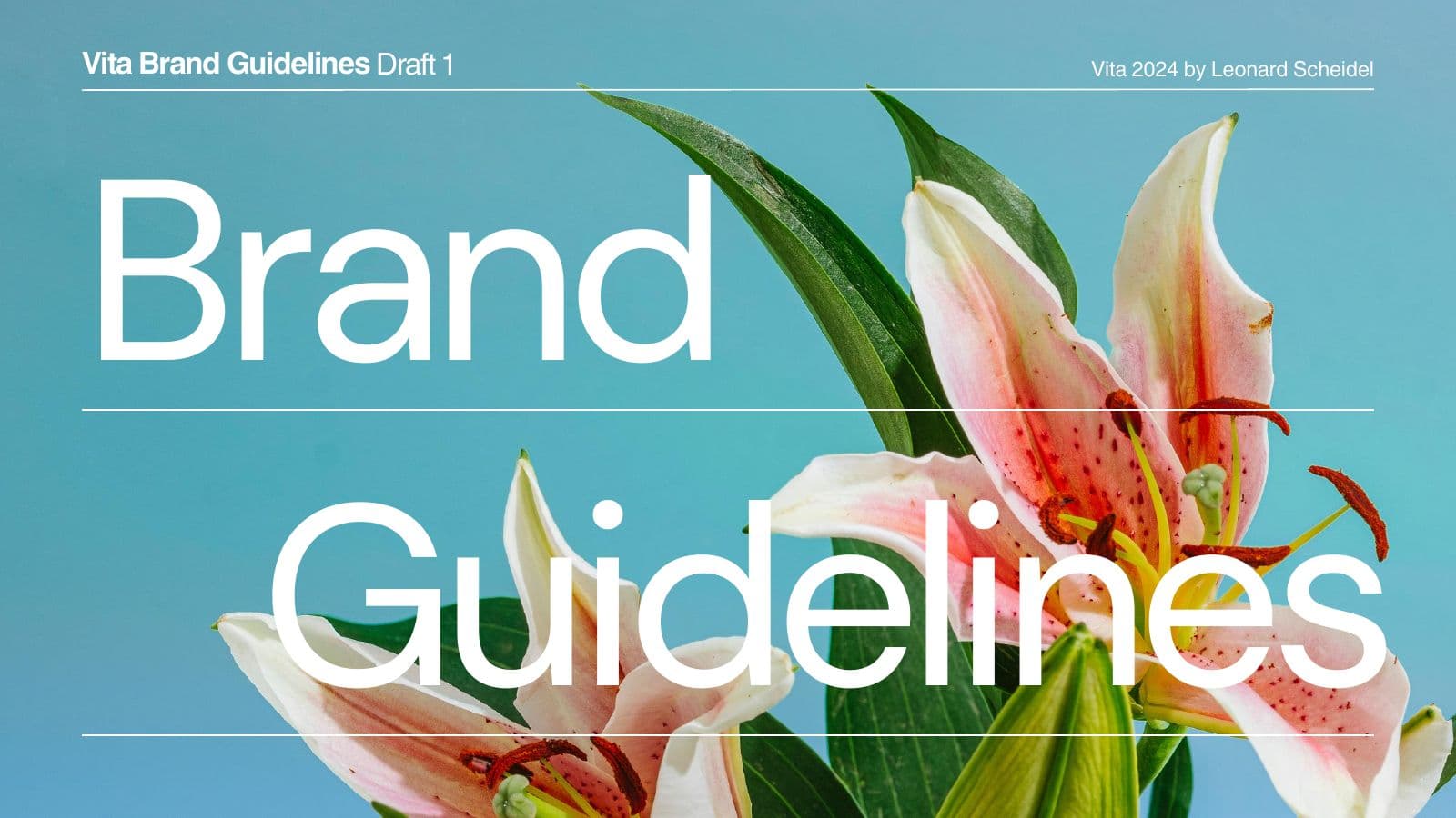 Vita brand guidelines, slide 1 of 33